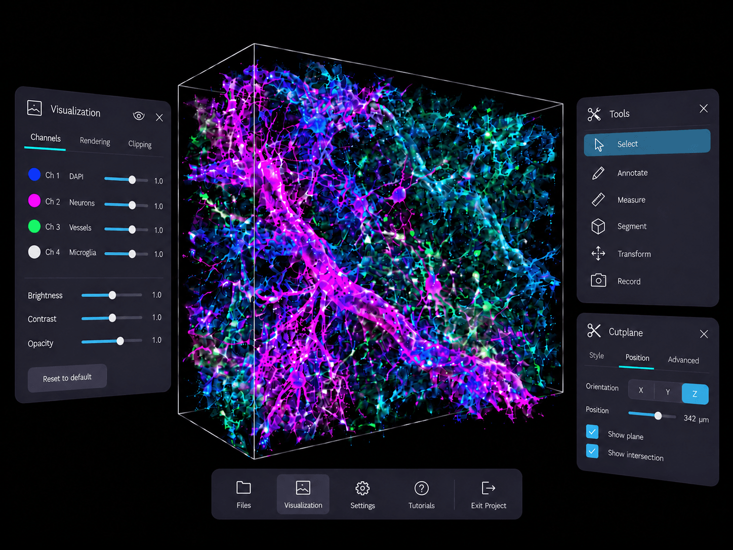 syGlass VR visualization interface showing a 3D rendered volume of neurons and vasculature